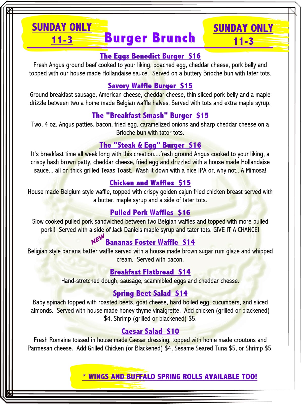 The Ithaca Ale House